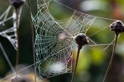IMG_8055